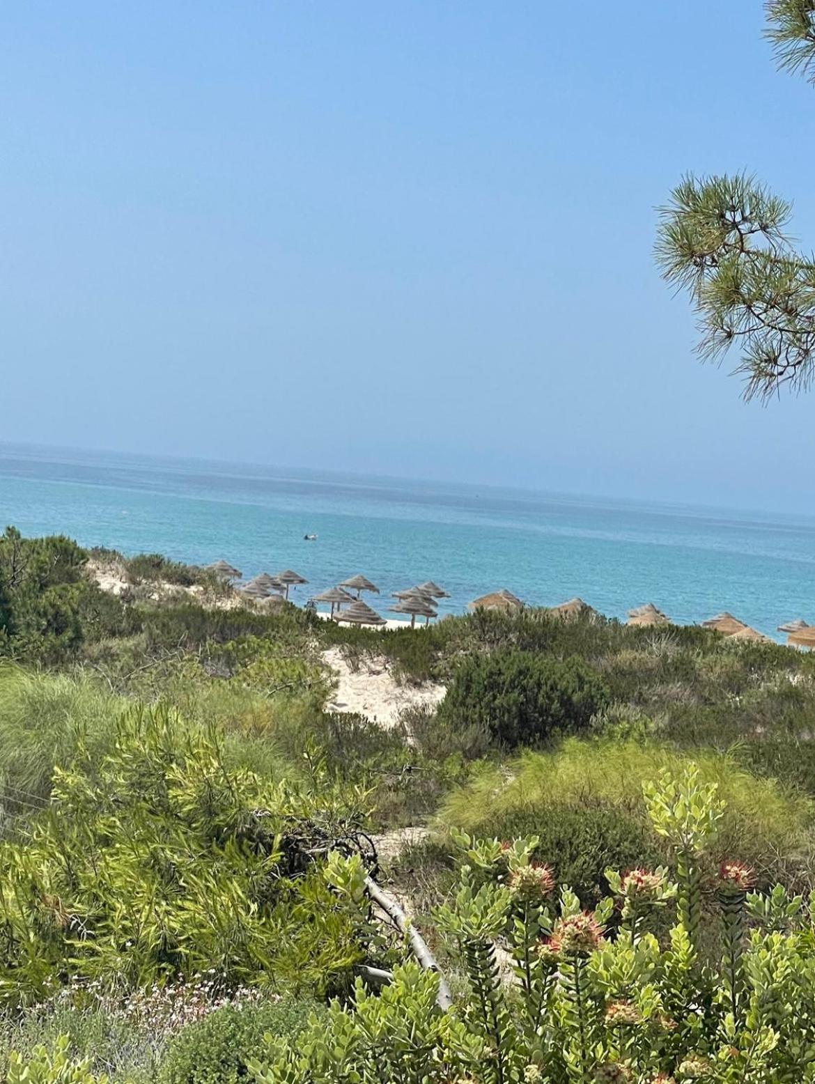 Willa Troia Beach Vacation Zewnętrze zdjęcie